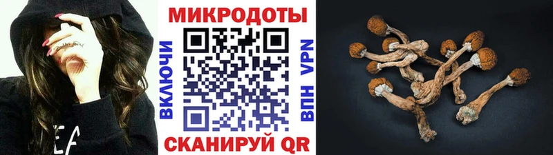 Галлюциногенные грибы Psilocybine cubensis  Купить где  Нытва 