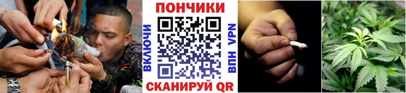 Бошки марихуана марихуана  Купить закладки  Нытва 